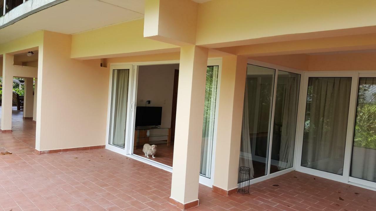 Gamboa Apartment Toucan Y Studio Neque Bagian luar foto